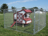 Shown in a 10x10 Dog Kennel